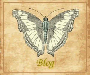 butterfly blog